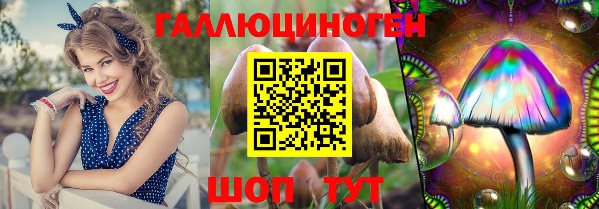 Галлюциногенные грибы MAGIC MUSHROOMS Соль-Илецк