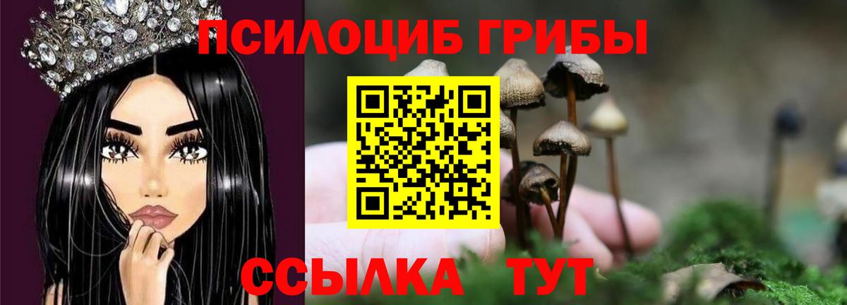 Псилоцибиновые грибы мицелий  Вход с VPN  даркнет сайт  Соль-Илецк 